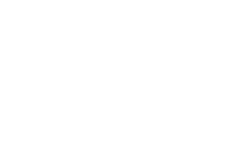Boss-clinic-logo